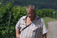 Peter Dynort