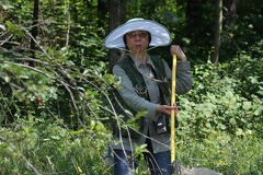 Ping-ping Chen