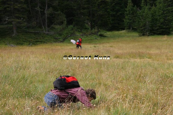 IMG 7918
