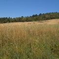 DSC01494