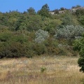 DSC01495