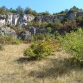DSC01496