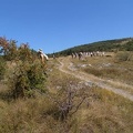 DSC01500