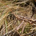 DSC01548