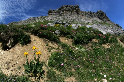 Colle Faunieri 1 1