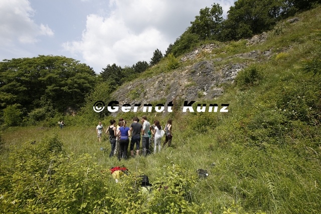 Kreidesteinbruch_bei_M__llendorf6.JPG