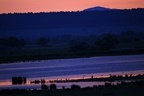 Nationalpark Neusiedlersee 3 2