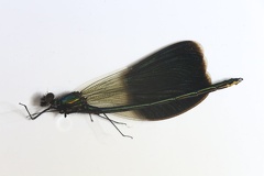 1 2