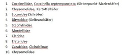 ZZAufl  sung Coleoptera 2