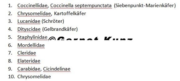 ZZAufl  sung Coleoptera 2