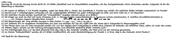 Jurywertung
