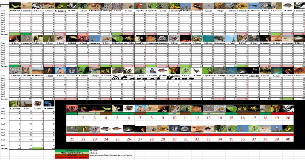 Zoologiekalender Wertung 2012