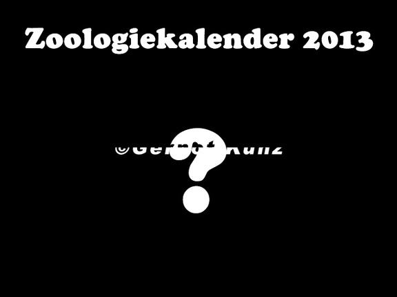 Zoologiekalender 2013