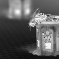 Apis mellifera mit CASU Combined Actuator Sensor Unit 